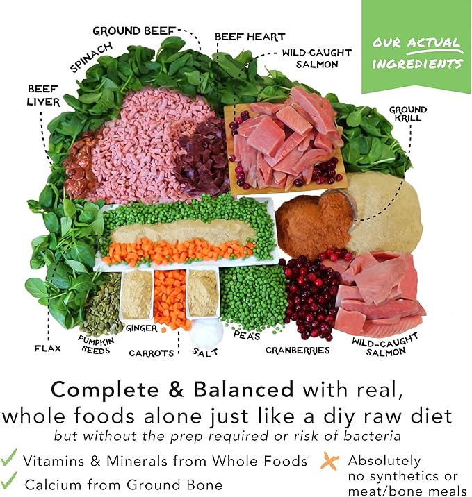 Simple Food Project - Beef & Salmon Recipe - Freeze Dried Raw Food for Dogs - 24oz