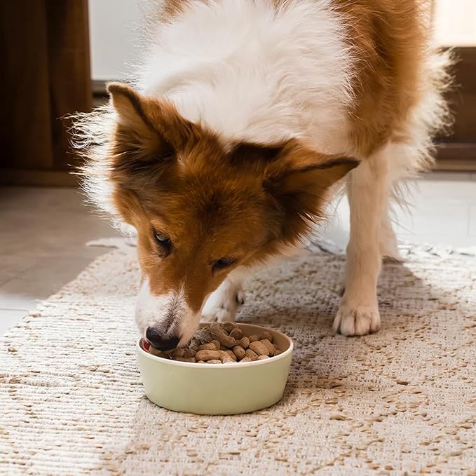 Open Farm, Freeze Dried Raw Puppy Food, Morsels with 95% Meat, Organs & Bone, Organic Produce & Superfoods, Complete Meal or Freeze Dried Dog Food Topper, Chicken & Salmon Puppy Recipe, 13.5oz Bag