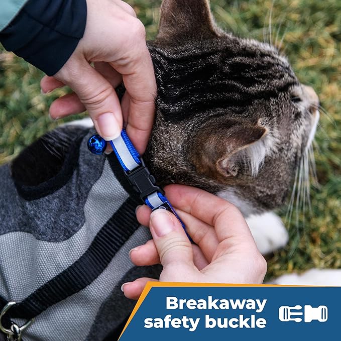 GoTags Personalized Reflective Cat Collars, Engraved Custom Cat Collar with Name and Phone Identification, Breakaway Collar with Safety Release Buckle and Bell, Adjustable for Cats and Kitten, (Red)