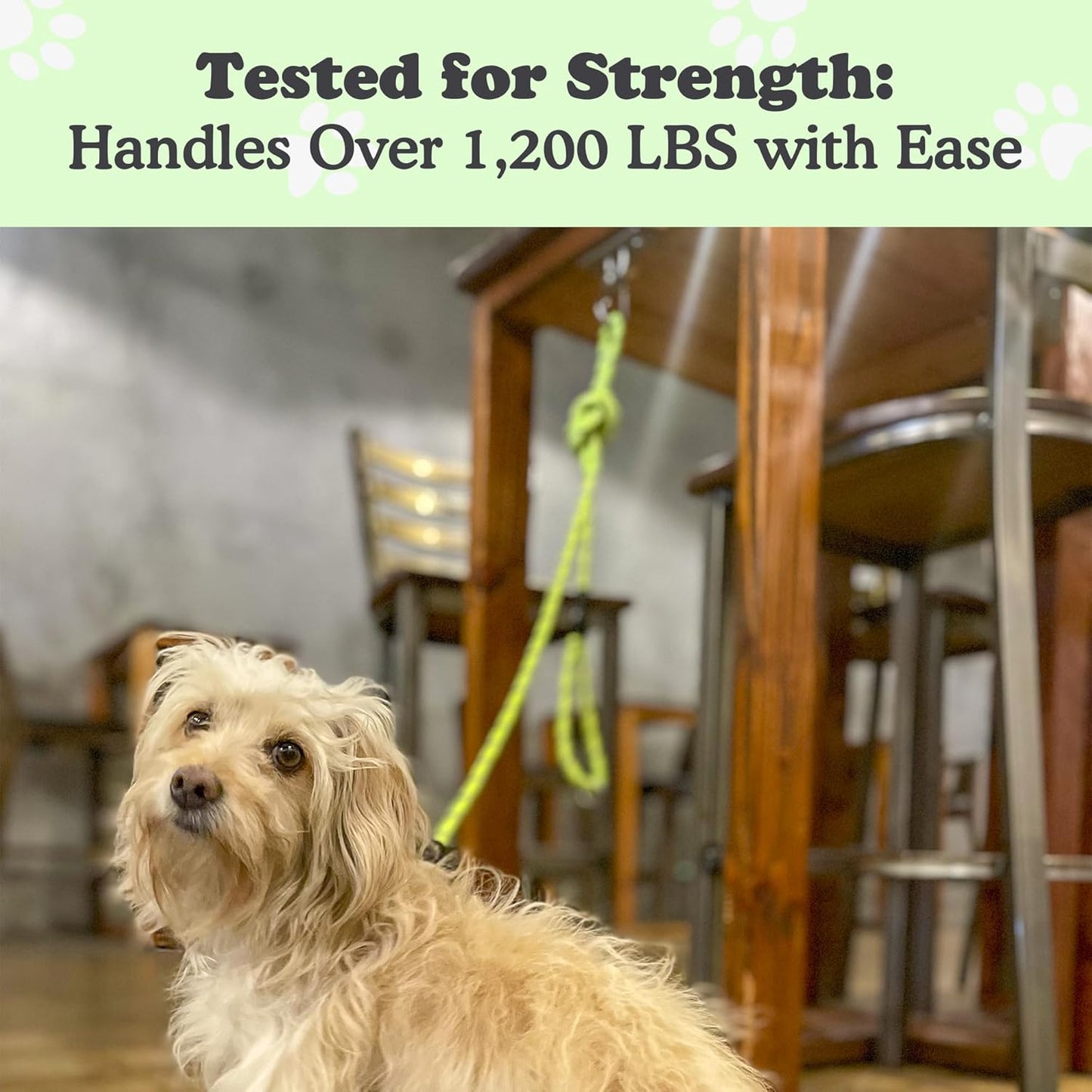 Canine Hitch- Secure Dog Leash Parking Mounted Indoor – Outdoor Wall Hook - Tie Out Stainless Steel Practical Lead Management for Home & Business, Slim Compact 6 Pack