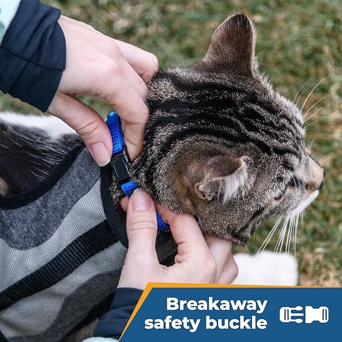 GoTags Personalized Cat Collars with Breakaway Safety Release Buckle, Custom Embroidered Cat Collar with Pet Name and Phone Number, Adjustable Nylon ID Collar with Bell for Cat or Kitten (Pack of 1)