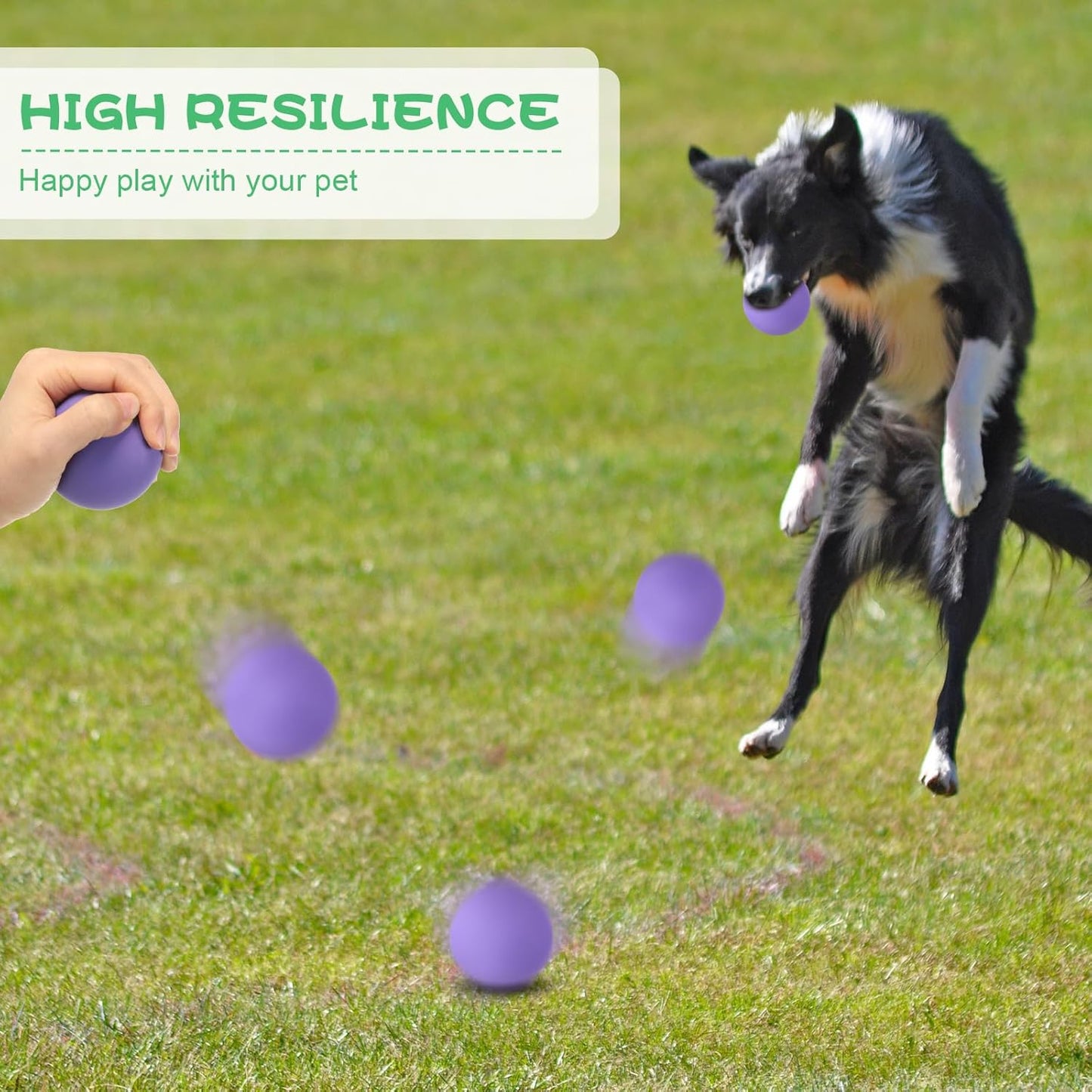 Shappy 24 Pieces Rubber Dog Tennis Balls for Dog Colorful Catching Pet Balls for Fetch Training 2.4 Inch Interactive Bounce and Floatable Toy for Park Beach