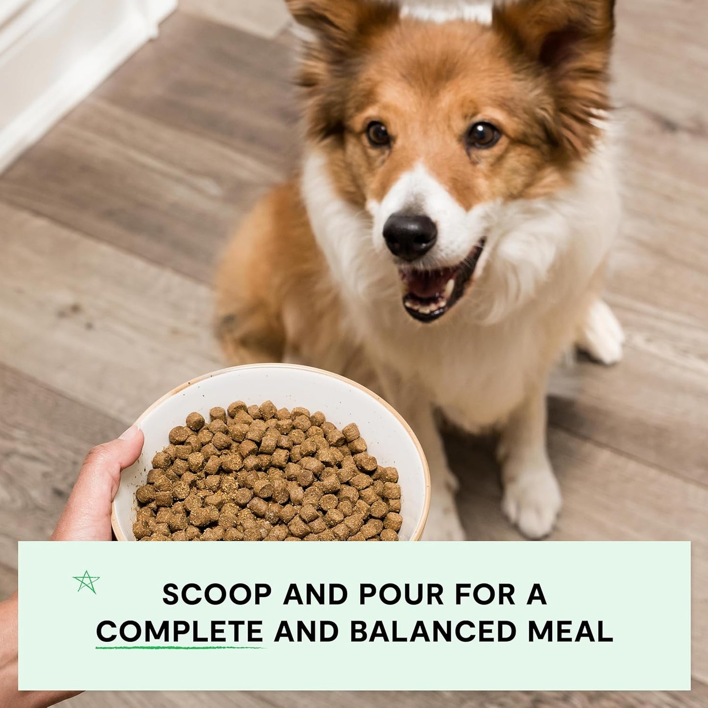Open Farm, Grain-Free Dry Dog Food, Complete & Balanced Kibble, Sustainably & Ethically Sourced Ingredients, Non-GMO Veggies & Superfoods to Support Overall Health, Grass-Fed Beef Recipe, 4lb Bag