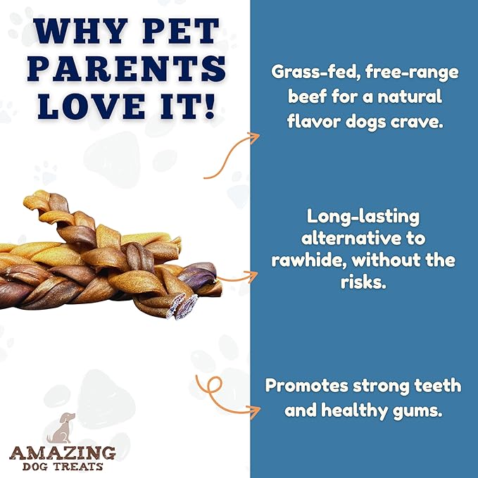 Amazing Dog Treats - 6 Inch Braided Collagen Sticks for Dogs - (10 Count) - Collagen Bully Sticks for Dogs