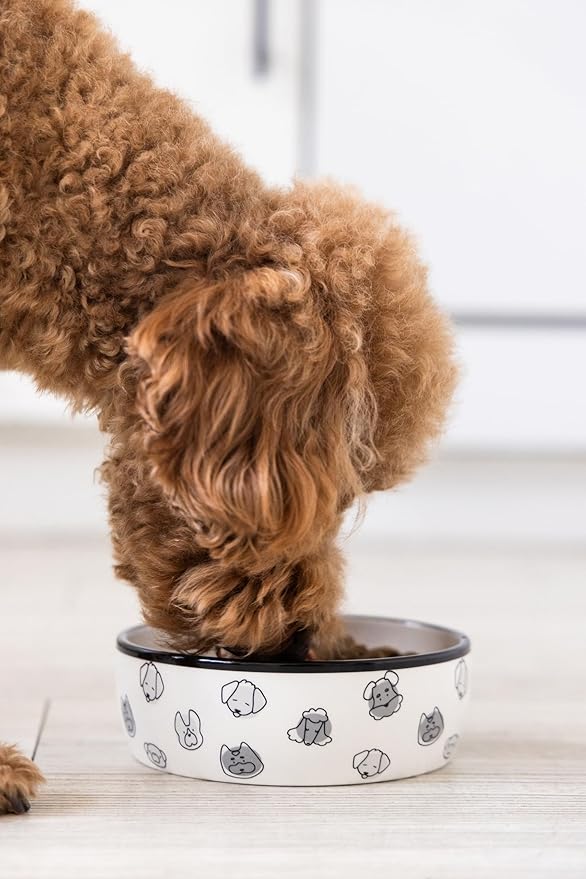 Pearhead Ceramic Dog Faces Dog Bowl, Holds 2 Cups, Stoneware Food and Water Dish for Dogs up to 20 lbs, Microwave and Dishwasher Safe, Small/Medium