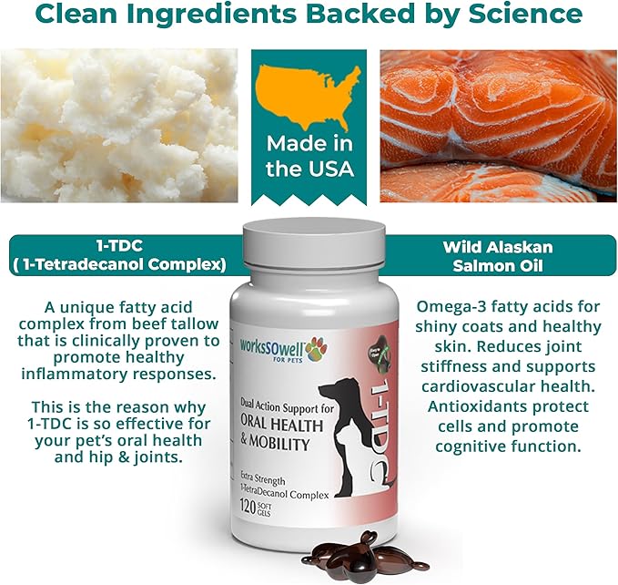 1TDC WorksSoWell Dual Action Joint Supplement For Dogs & Cats - Hip And Joint Supplement For Large Breed & Small Breed - Also Great For Oral Health - Muscle & Stamina Recovery & Arthritis - 120ct