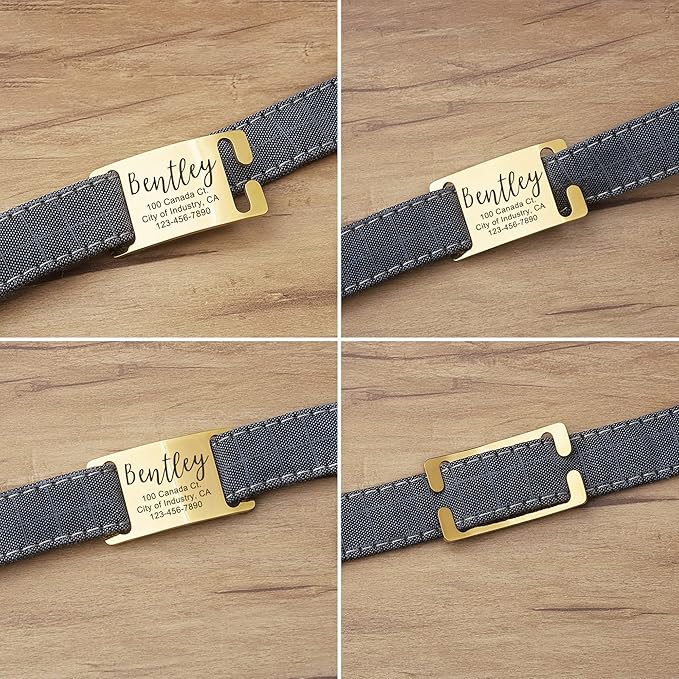 Anavia Slide On Silent Pet ID Tags, S/M/L/XL Personalized Gold Black Stainless Steel Customized Engraved Cat Dog Name Tags, Glossy Finish Chew-Proof Quiet Dog Collar Tag (X-Large, Silver)