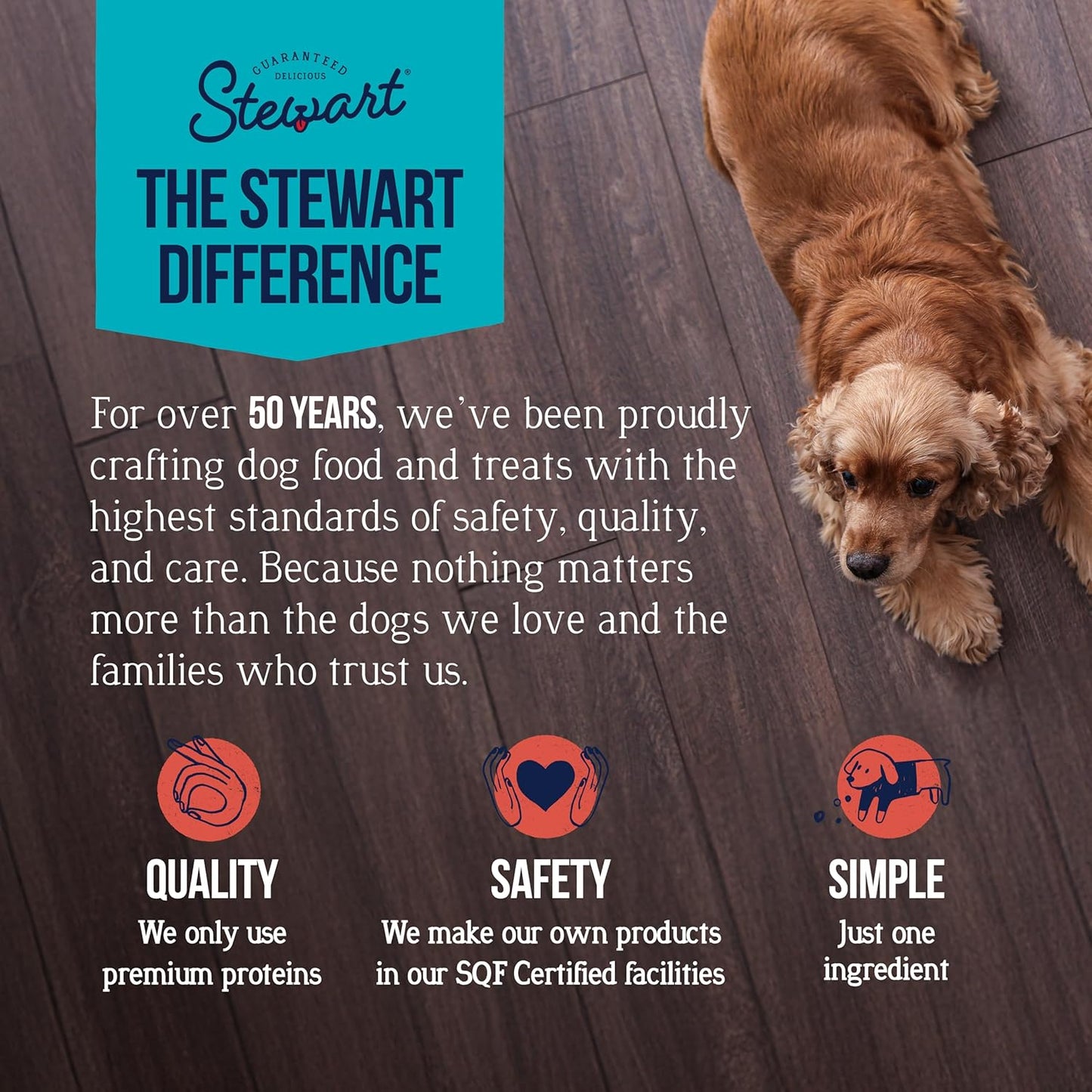 Stewart Chicken Breast Dog Treats, 11.5 oz, ~215 Pieces, Freeze Dried Raw, Single Ingredient, 74% Protein Training Treats or Meal Topper in a Resealable Tub, Grain Free, Gluten Free