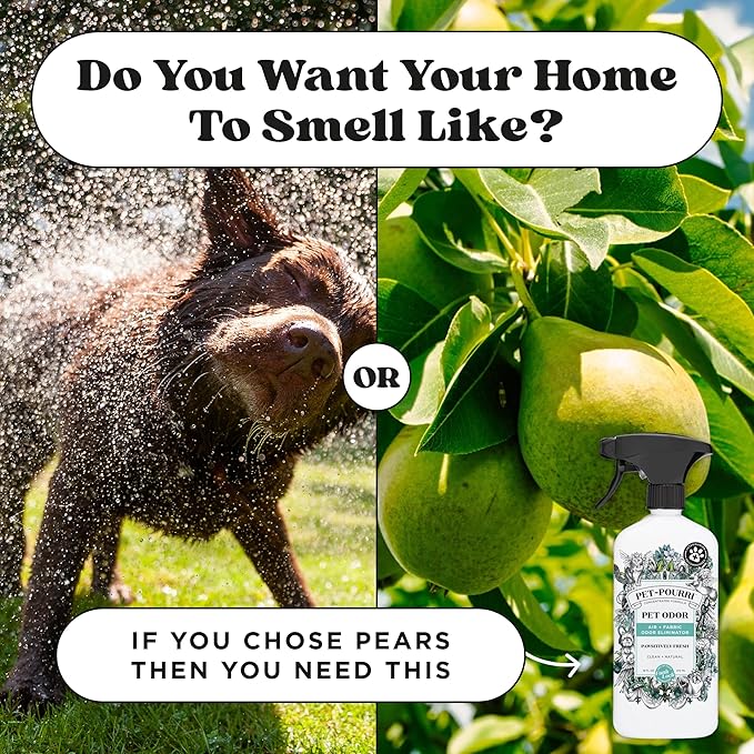 Pet-Pourri Pawsitively Fresh Pet Odor Deodorizer Candle, Burns Up to 45 Hours, Aromatherapy & Air Freshener with Essential Oils, Plant Based Ingredients & Wax, Vet Approved, Jasmine Pear Scent