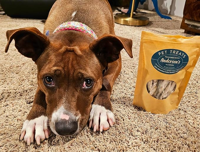 Anderson's Freeze Dried Protein Pet Treats, 2 oz | Quality Treats for Training | Grain and Gluten Free | Arkansas Farm Raised Minnows