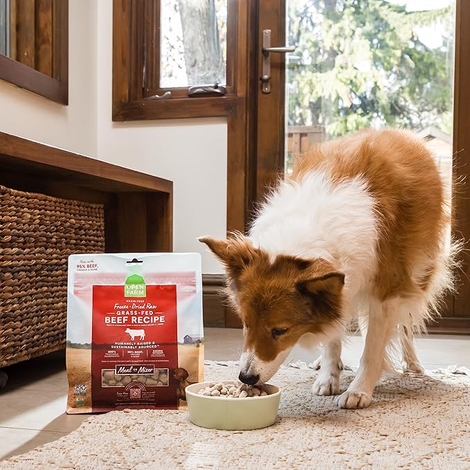 Open Farm Freeze Dried Raw Dog Food, Humanely Raised Meat Recipe with Non-GMO Superfoods and No Artificial Flavors or Preservatives (3.5 Ounce (Pack of 1), Grass Fed Beef Recipe)