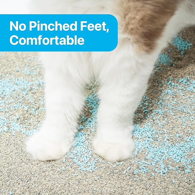 Cat Litter Deodorizing Granules, Cat Litter Box Odor Eliminator, Cat Litter Odor Control for Home