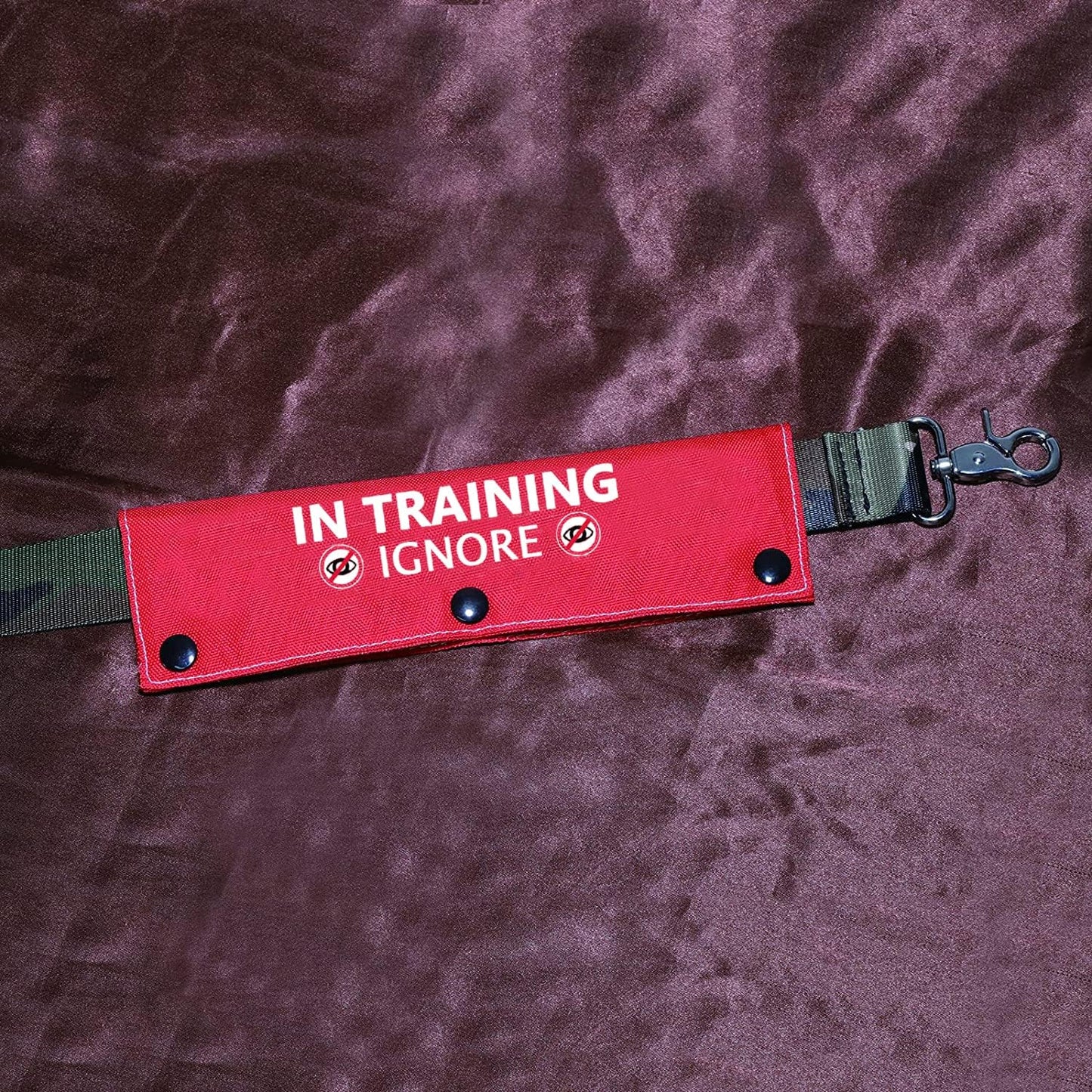 Funny Dog Leash Sleeve Have in Training Ignore Dog Leash Wrap Wrap Alert Hanging ID Patch Tag Pet Birthday Gift(Training Ignore-Sleeve)