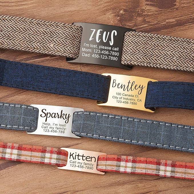 Anavia Slide On Silent Pet ID Tags, S/M/L/XL Personalized Gold Black Stainless Steel Customized Engraved Cat Dog Name Tags, Glossy Finish Chew-Proof Quiet Dog Collar Tag (X-Large, Silver)