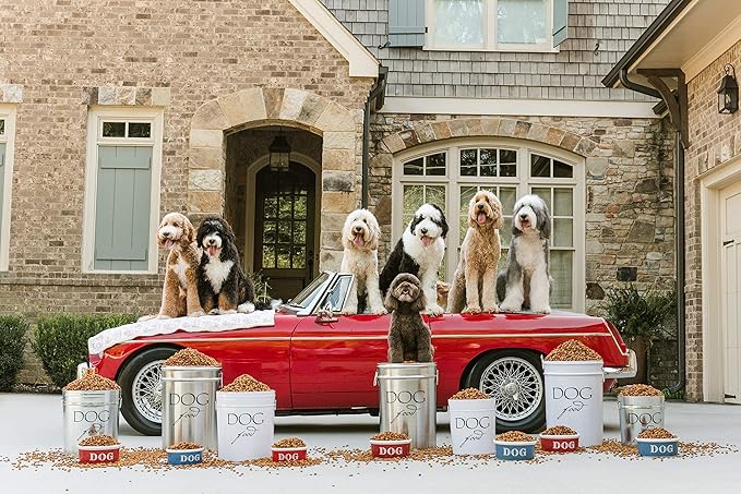 Harry Barker Pet Food Storage Collection, Classic Silver Food Storage - Small