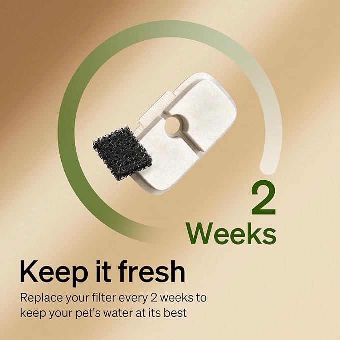 PETLIBRO Cat Water Fountain Filter Replacement, 8 Packs Pet Fountain Filter & Sponges for Dockstream WF106/WF116/WF105/WF115/WF005/WF305, 4 Months Set Easy-Swap PETLIBRO Cat Water Dispenser Filter