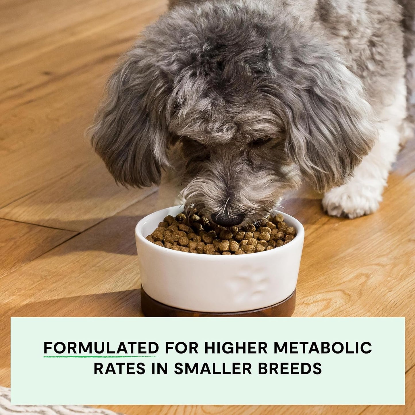 Open Farm, Grain-Free Dry Dog Food for Small Breeds, High-Protein Kibble, Sustainably & Ethically Sourced Ingredients, Non-GMO Veggies & Superfoods, Chicken & Turkey Recipe for Small Dogs, 11lb Bag