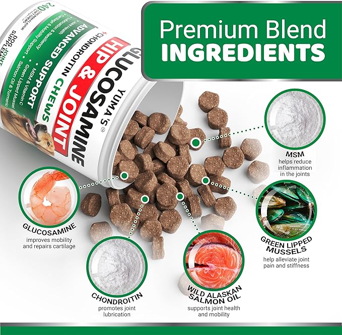 Glucosamine for Dogs - 240 Chews - Hip and Joint Supplement for Dogs - Advanced Glucosamine Chondroitin Treats with MSM - Joint Pain Relief - Large & Small Breed - Mobility Support - Made in USA