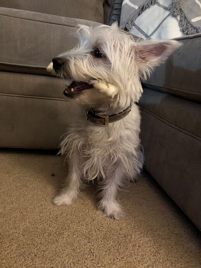 Pet Factory - CareChewz Beef Collagen Dog Treats (Pack of 5, 6-7 inch Skinny Braid Sticks), USA Made Beefhide Dog Chews, Support Joints, Dental Health, Reduce Inflammation & Promote Healthy Coats