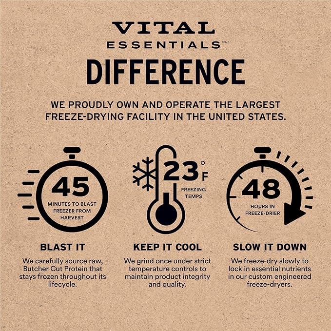 Vital Essentials Freeze-Dried Raw Beef & Salmon Meal or Mixer Dog Food Soft Nibs | 99% Beef, Salmon, Organs & Bone | 3 lbs Big Bag