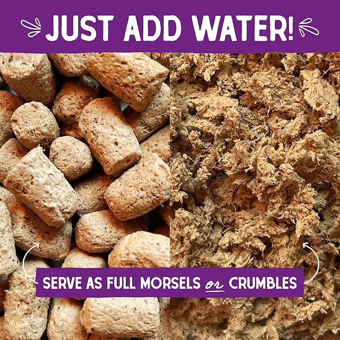 Stella & Chewy's Freeze-Dried Raw Cat Dinner Morsels - Premium Salmon & Chicken Recipe with 98% Wild-Caught & Cage-Free Protein - Natural Grain-Free Cat & Kitten Food - Made in USA - 1 oz