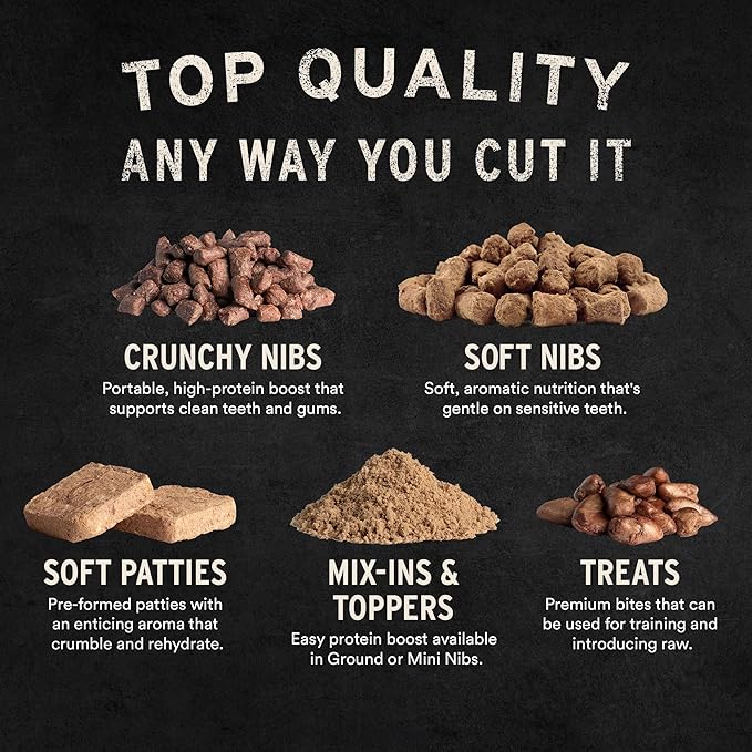 Vital Essentials Freeze-Dried Raw Beef & Salmon Meal or Mixer Dog Food Soft Nibs | 99% Beef, Salmon, Organs & Bone | 3 lbs Big Bag