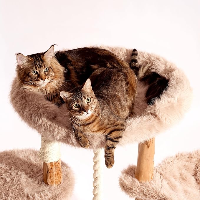 Aesthetic Cat Tree Tower for Large Cats, Large Cat Tree for Maine Coon Indoor Cats with Faux Fox Fur, Solid Wood Sisal Scratching Post, Hammock, Perches, Platform, Toy Ball