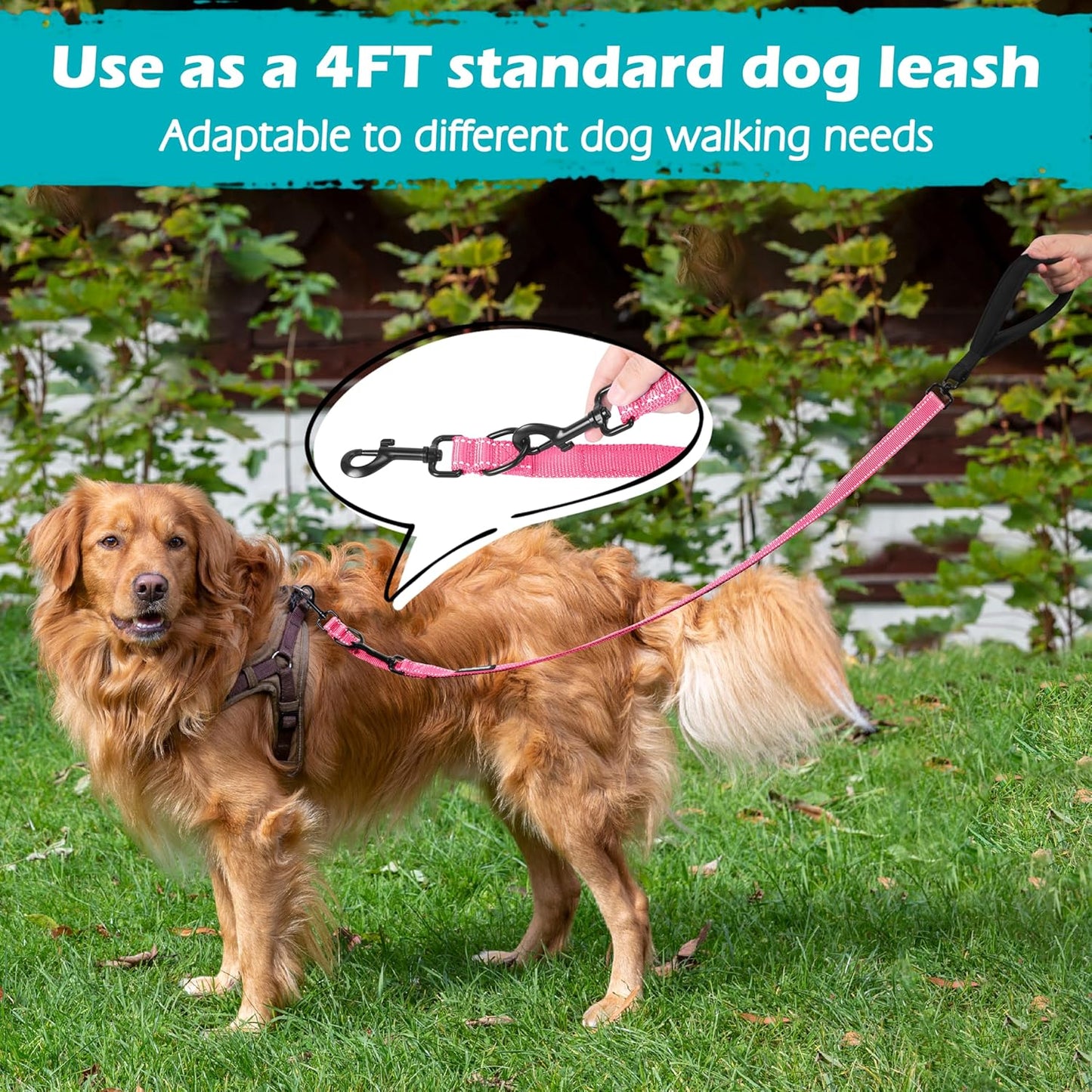 PetBonus Two Point Control Dog Leash, Works with No Pull Harnesses, No Tangle Training Leashes, Soft Padded and Reflective Walking Lead, Converts to Single Lead for Medium Large Dogs (Pink)