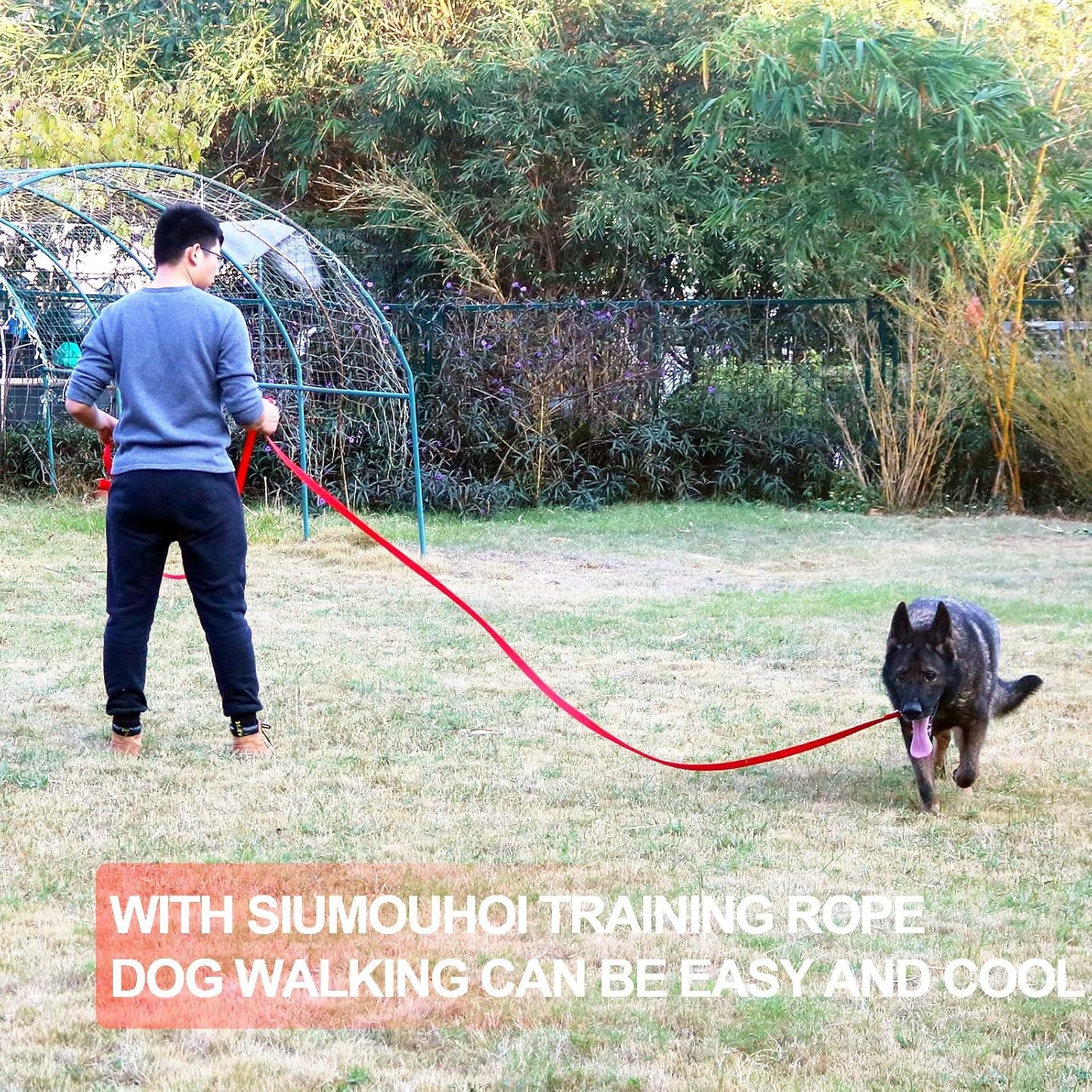 Dog/Puppy Obedience Recall Training Agility Lead - 15ft 20ft 30ft 40ft 50ft Training Leash - Great for Play, Camping, or Backyard - Blue 50ft (Blue, 50 Feet)
